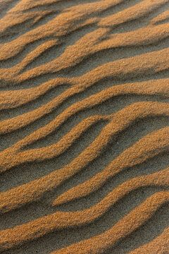 View of sand dunes with ripple patterns illuminated by golden hour light in Haverdal, Halland County, Sweden.