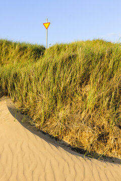 View of sand dunes covered with tall beach grass and a yellow-red yield sign under a clear blue sky in Haverdal, Halland County, Sweden.