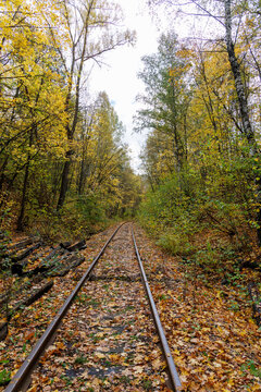 Railway tracks running through an autumn forest with colorful trees