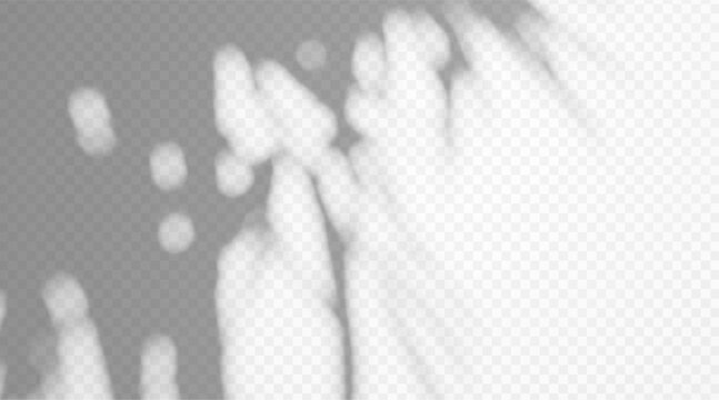 Abstract blurred shadow overlay with dappled light texture on white background.