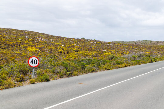Road through hills near Cape of Good Hope