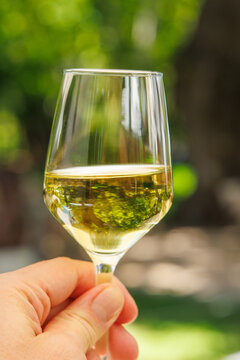 Glass of white wine in hand in sunlight