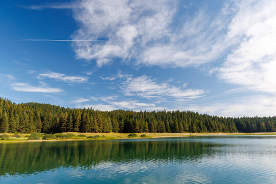 Calm lake with forest reflection under blue sky