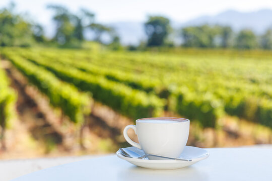 Morning coffee with vineyard view