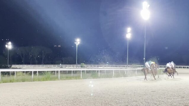 Noche caballos galopando en carrera nocturna