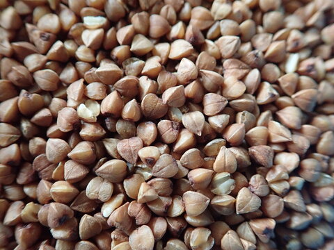 brown grains od natural raw buckwheat