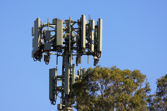 View of 5G tower with multiple antennas and cabling against a clear blue sky with eucalyptus trees in the foreground, Sydney, New South Wales, Australia.