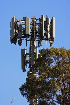View of a 5G tower with multiple antennas and complex cabling set against a clear blue sky, partially obscured by green tree foliage in Sydney, New South Wales, Australia.