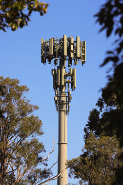 View of a 5G telecommunications tower standing tall against a clear blue sky, framed by lush green tree branches in Sydney, New South Wales, Australia.