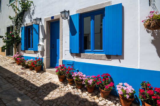 View of a traditional Portuguese house with vibrant blue shutters and trim, white walls, and numerous potted geraniums lining a sunny cobblestone street in Cascais, Lisbon, Portugal.