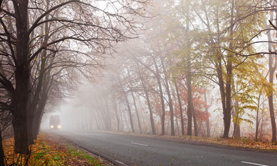 Fototapeta premium Road in foggy autumn forest with misty trees and and a truck in the distance