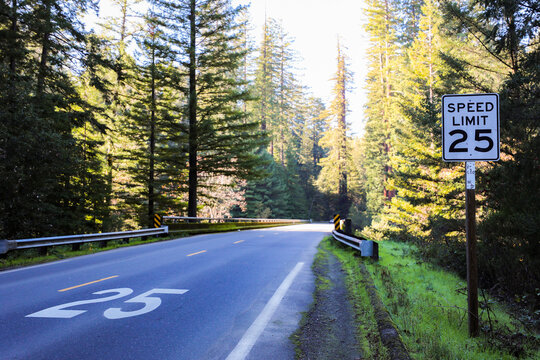 View of a paved road winding through a dense redwood forest with a speed limit sign indicating 25 miles per hour in Humboldt County, California, United States.