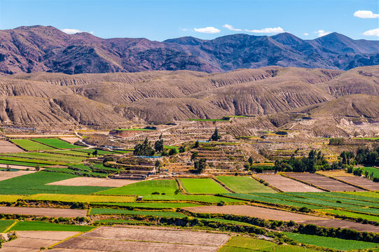 A view of terraces and green agricultural fields in the Colca Canyon region in the Andes mountains of Peru in the dry season