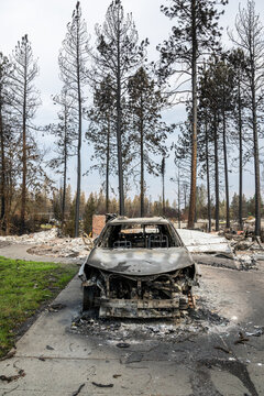View of a destroyed car frame in the aftermath of a wildfire, surrounded by charred pine trees and debris in Spokane, Washington, United States.