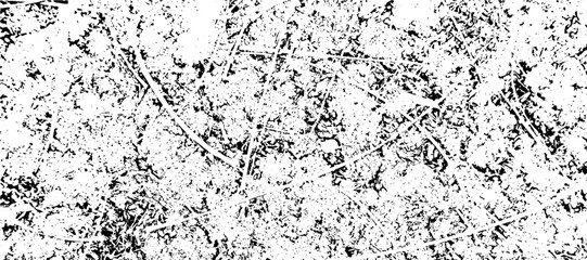 Fototapeta premium Vector Scratch Texture Background Abstract Distressed Twig Branch Overlay Surface