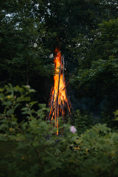 View of a large bonfire burning in the forest on Vormsi island, surrounded by dark trees and lush foliage in Laane County, Estonia.