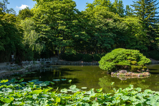 경주 불국사 연못, Pond at Bulguksa Temple, Gyeongju

