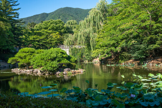 경주 불국사 연못, Pond at Bulguksa Temple, Gyeongju
