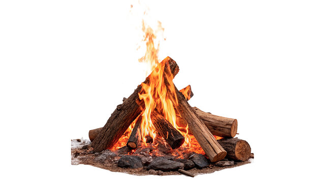 Bright burning campfire firewood log flames isolated on transparent background.