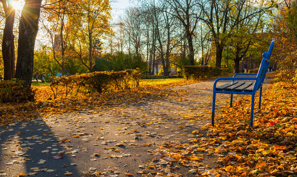 Autumn sunny park landscape in nice October day, panoramic view - sunlit alley with fallen yellow leaves on an asphalt path, blue metal bench, and bright sunbeams breaking through the tree branches