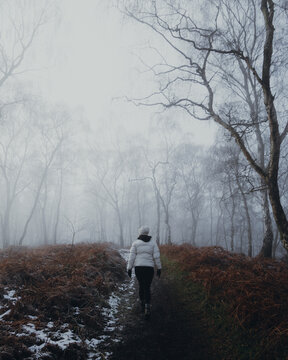 View of a person in a white jacket walking along a path through the misty, wintery Cannock Chase Forest with bare birch trees and frost-covered ferns in Staffordshire, England, United Kingdom.