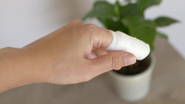 Close up of female hand with injured finger protected by white bandage near green indoor plant. Everyday accident and first aid concept showing minor injury, temporary protection, pain and self care