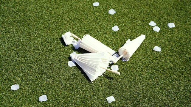 Stylish white vintage umbrellas provide shade from the hot, bright sun on a sunny summer day. Wedding ceremony for the bride and groom.