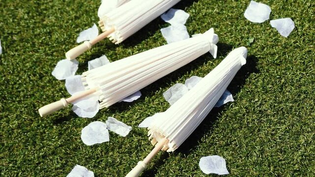 Stylish white vintage umbrellas provide shade from the hot, bright sun on a sunny summer day. Wedding ceremony for the bride and groom.