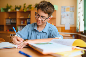 Young student boy writing notes in classroom