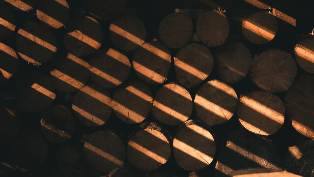 View of stacked cylindrical logs with dramatic light and shadow patterns creating stripes across the textured wood surface in Svitavy, CZ.