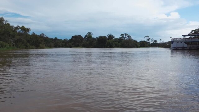 High water levels at Amazon river in Manaus region, Brazil