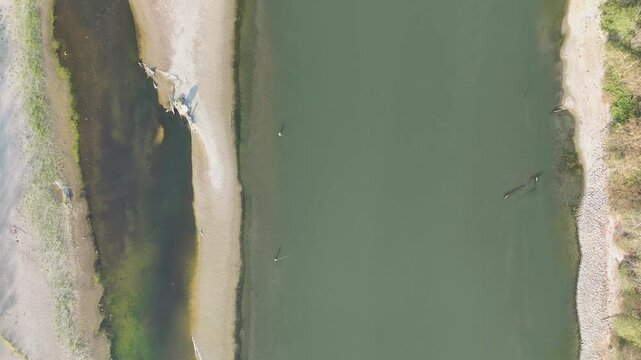 Po River shows extensive exposed sandbanks and shallow margins during the 2026 summer water crisis, with narrow deep channel and sparse vegetation along the riverbank, Lombardy, Italy, drone flyover.