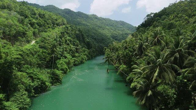 Drone ascends above the green Loboc River, revealing palm-lined riverbanks and forested hills in Bohol