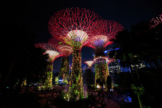 View of the illuminated Supertree Grove at Gardens by the Bay at night with vibrant red and green lights, lush vertical gardens, and palm trees in Singapore, Singapore.