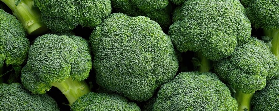 Ultra-detailed broccoli heads fill the frame, highlighting intricate florets and complex green texture. Modern macro food photography captures their fresh, organic appeal.
