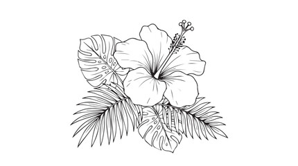 Tropical hibiscus flower line art, botanical monstera and palm leaf sketch, black and white exotic floral vector illustration © Toqeer