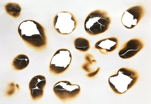 Collection of burnt holes in piece of paper isolated on white background