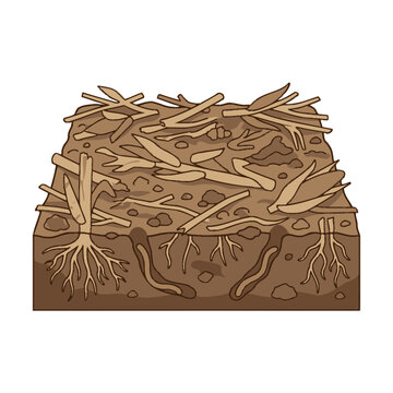 Soil cross section showing regenerative farming mulch and root systems. SVG Editable. Vector Illustrations.
