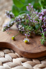 Fresh garden medicinal herbs -  collected for the healthy tea, include mint, chamomile, origanum, thyme, yarrow, melissa, lemon balm and St. John's wort. © JoannaTkaczuk
