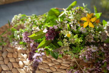 Fresh garden medicinal herbs -  collected for the healthy tea, include mint, chamomile, origanum, thyme, yarrow, melissa, lemon balm and St. John's wort. © JoannaTkaczuk