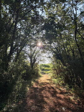 Un chemin &agrave; Meauzac