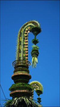 Tall decorative bamboo pole penjor erected for Galungan Hindu festival along street, Bali, Indonesia