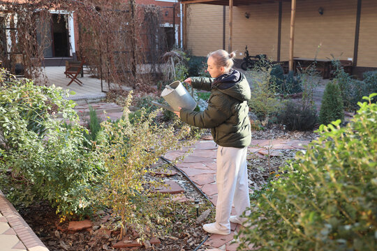 Young Woman Waters Garden Plants With Metal Watering Can In Sunny Courtyard, Standing On Stone Path Among Shrubs, Autumn Foliage, And Modern House Exterior With Warm Natural