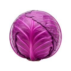 Fototapeta premium Fresh purple cabbage head with tightly packed leaves