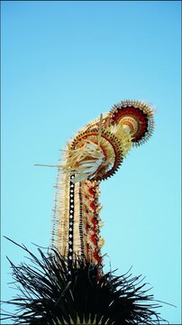 Tall decorative bamboo pole penjor erected for Galungan Hindu festival along street, Bali, Indonesia
