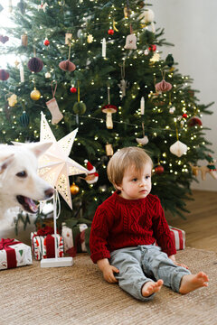 Toddler Boy in Red Sweater Sitting by Christmas Tree with White Dog. Family holiday traditions, Unconditional Friendship. Happy holidays