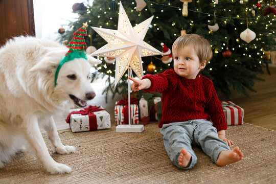 Cute toddler boy sitting on floor near Christmas tree with dog wearing festive headband. Pets with kids holiday friendship, cozy winter home, and merry Christmas atmosphere