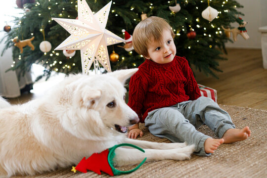 Cute toddler boy looking away with white dog lying near Christmas tree, concept of peaceful winter holidays, home comfort, family life with pets, and festive magic