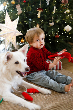 Little boy holding Christmas headband sitting beside white dog near decorated tree, concept of festive kids fun, cozy winter family moments, and holiday pet accessories
