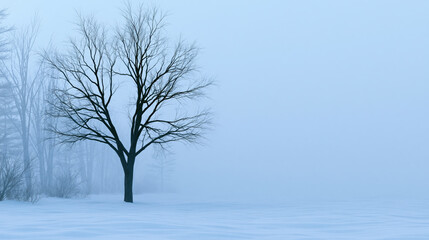 Fototapeta premium Bare tree in snowy foggy landscape with wide empty space creating quiet winter scene